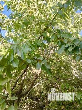 Дом 104м&sup2;, 2-этажный, участок 3 сот.  