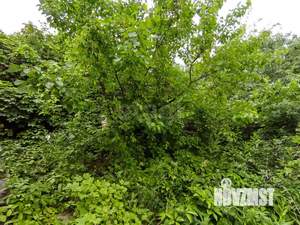 Дом 49м², 2-этажный, участок 7 сот.  