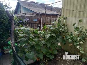 Фото дома, дачи на продажу (10)