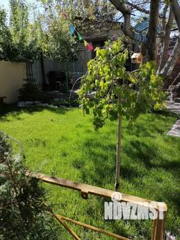 Дом 159м², 3-этажный, участок 4 сот.  