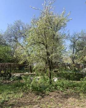 Дом 20м², 2-этажный, участок 6 сот.  