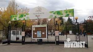 Дом 87м², 1-этажный, участок 3 сот.  