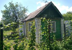 Дом 12м&sup2;, 1-этажный, участок 6 сот.  