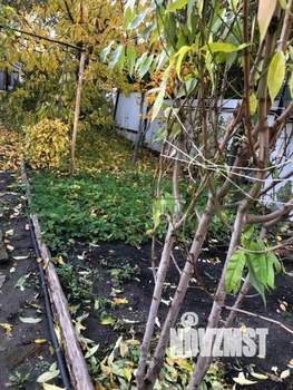 Дом 66м², 1-этажный, участок 4 сот.  