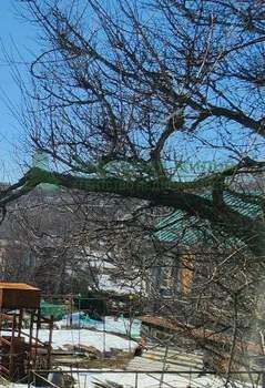 Дом 58м&sup2;, 1-этажный, участок 14 сот.  