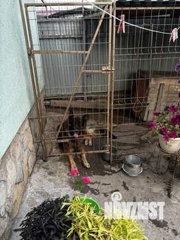 Дом 75м&sup2;, 1-этажный, участок 7 сот.  