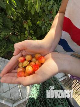 Дом 82м&sup2;, 2-этажный, участок 7 сот.  