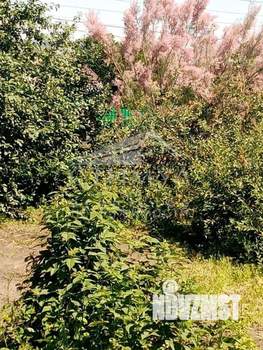 Дом 93м&sup2;, 2-этажный, участок 7 сот.  