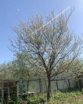 Дом 20м², 2-этажный, участок 6 сот.  