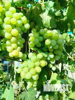 Дом 57м&sup2;, 1-этажный, участок 4 сот.  