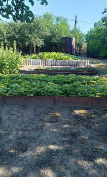 Дом 43м&sup2;, 1-этажный, участок 19 сот.  