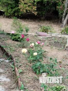 Дом 20м&sup2;, 1-этажный, участок 11 сот.  