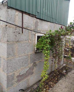 Дом 49м&sup2;, 1-этажный, участок 8 сот.  