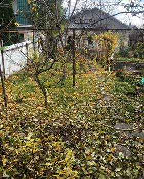 Дом 66м², 1-этажный, участок 4 сот.  