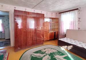 Дом 48м&sup2;, 1-этажный, участок 3 сот.  