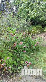 Дом 35м², 1-этажный, участок 8 сот.  