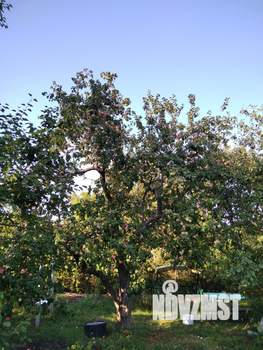 Дом 16м&sup2;, 1-этажный, участок 7 сот.  