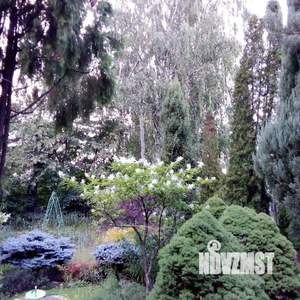 Дом 49м&sup2;, 2-этажный, участок 10 сот.  