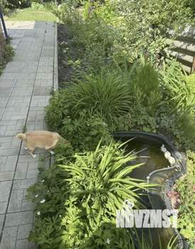 Дом 40м&sup2;, 2-этажный, участок 5 сот.  