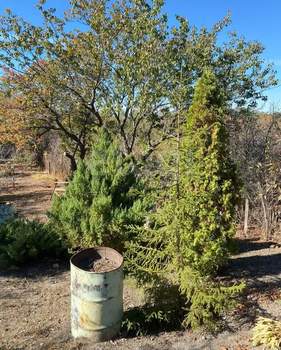 Дача 33м², 2-этажный, участок 12 сот.  