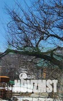 Дом 58м&sup2;, 1-этажный, участок 14 сот.  