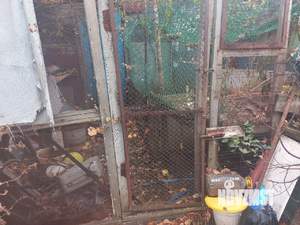 Дом 50м&sup2;, 1-этажный, участок 9 сот.  