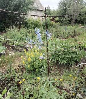 Дача 25м², 2-этажный, участок 12 сот.  