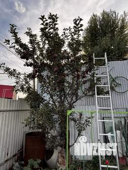 Дом 75м&sup2;, 1-этажный, участок 7 сот.  