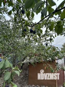 Дом 40м&sup2;, 1-этажный, участок 2 сот.  