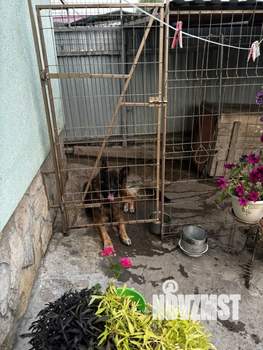 Дом 57м&sup2;, 1-этажный, участок 4 сот.  