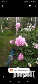 Дом 10м², 1-этажный, участок 7 сот.  