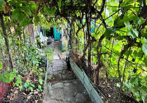 Дом 58м&sup2;, 1-этажный, участок 14 сот.  