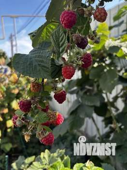 Дом 75м&sup2;, 1-этажный, участок 7 сот.  