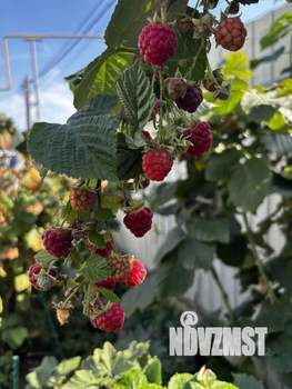 Дом 57м&sup2;, 1-этажный, участок 4 сот.  