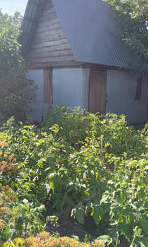 Дом 43м&sup2;, 1-этажный, участок 19 сот.  