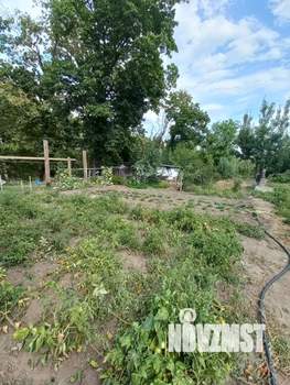 Дом 44м&sup2;, 1-этажный, участок 11 сот.  