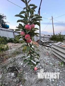 Дом 130м&sup2;, 2-этажный, участок 6 сот.  