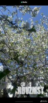 Дом 24м&sup2;, 1-этажный, участок 5 сот.  