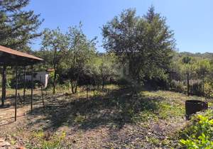 Дача 31м², 2-этажный, участок 7 сот.  