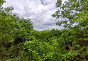 Дом 49м², 2-этажный, участок 7 сот.  