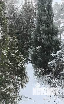 Дом 49м&sup2;, 2-этажный, участок 10 сот.  