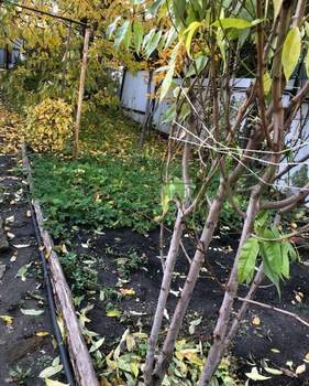 Дом 66м², 1-этажный, участок 4 сот.  