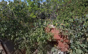 Дача 30м², 2-этажный, участок 6 сот.  