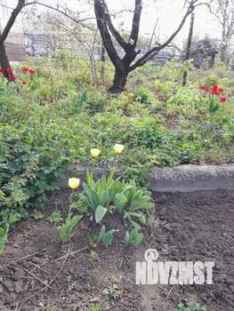 Дом 16м&sup2;, 1-этажный, участок 7 сот.  