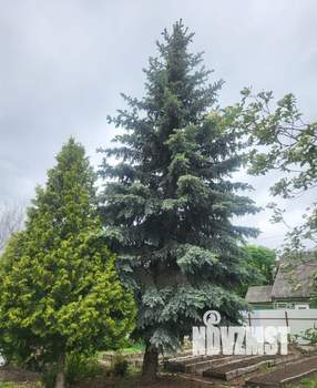 Дом 296м&sup2;, 2-этажный, участок 12 сот.  