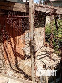 Дом 93м², 2-этажный, участок 7 сот.  