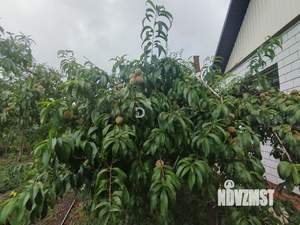 Дом 90м&sup2;, 2-этажный, участок 6 сот.  