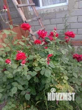 Дом 35м², 1-этажный, участок 5 сот.  