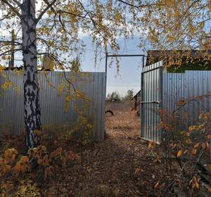 Дом 24м&sup2;, 1-этажный, участок 8 сот.  