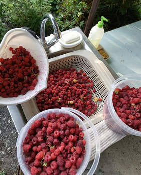 Дом 62м&sup2;, 2-этажный, участок 8 сот.  